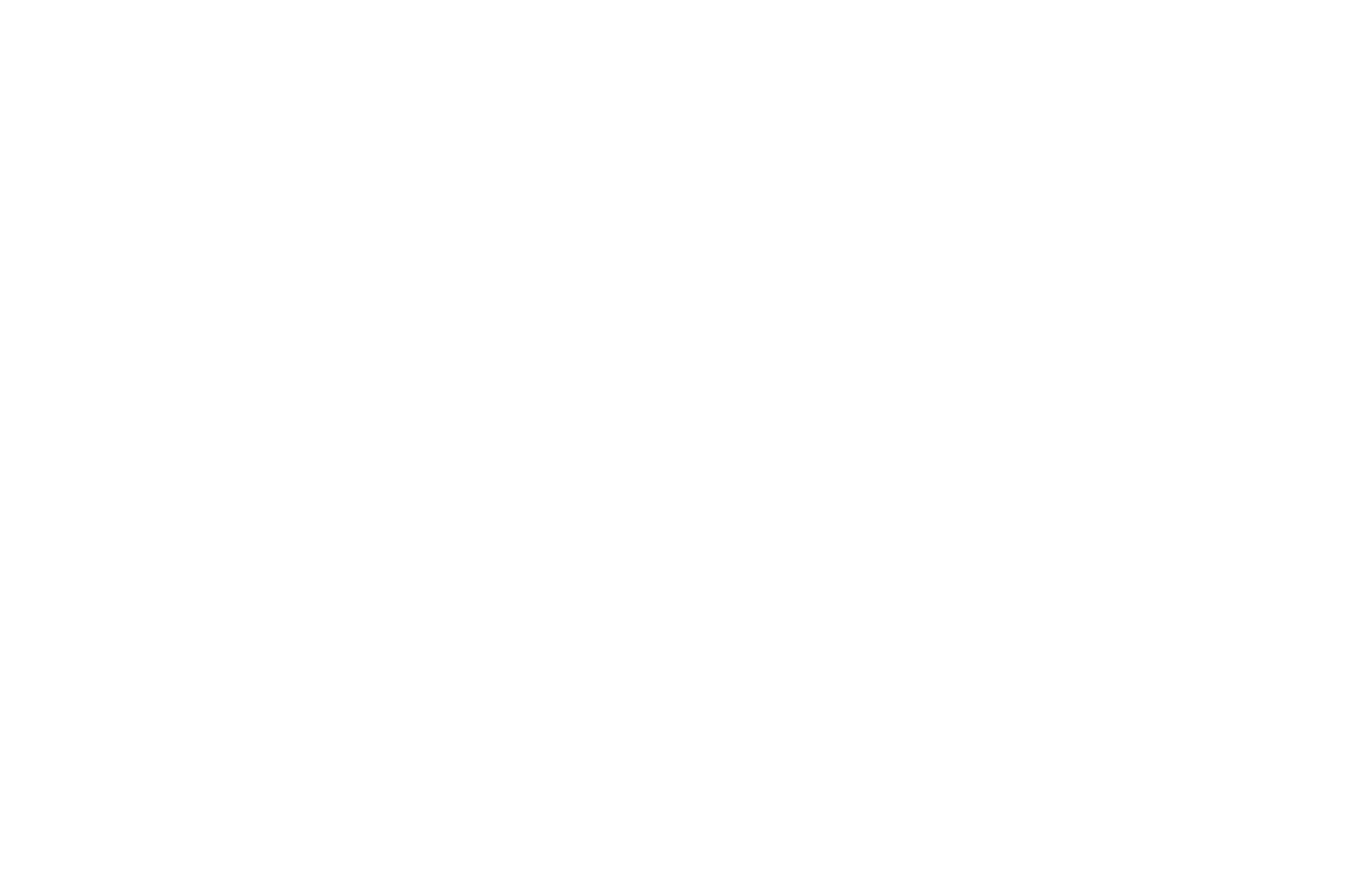 Braineer Academy